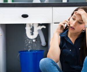About Emergency plumbing pros Haines, AK